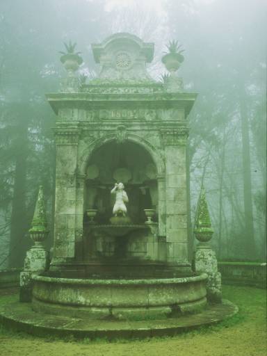 Image0247.web.jpg