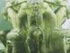 [thumbnail of Picture 10]
