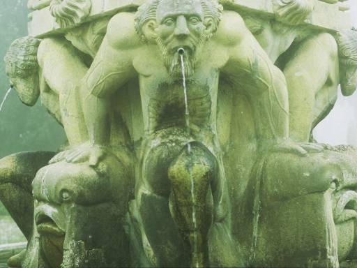 Image0249.web.jpg