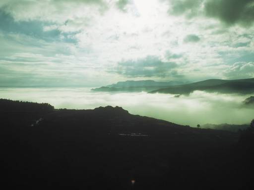 Image0255.web.jpg