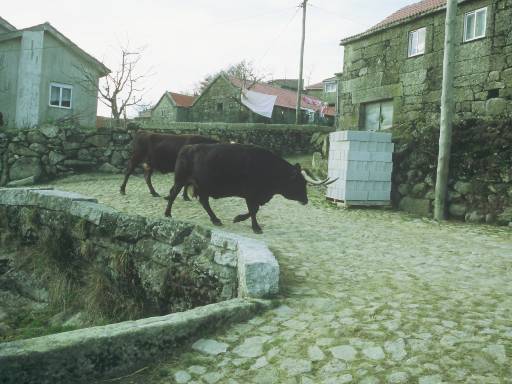 Image0256.web.jpg