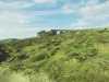 [thumbnail of Picture 19]