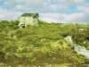 [thumbnail of Picture 21]