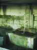 [thumbnail of Picture 27]