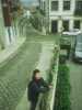 [thumbnail of Picture 35]