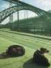 [thumbnail of Picture 7]
