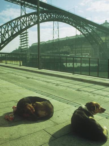 Image0080.web.jpg