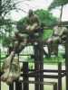 [thumbnail of Picture 15]