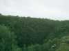 [thumbnail of Picture 30]