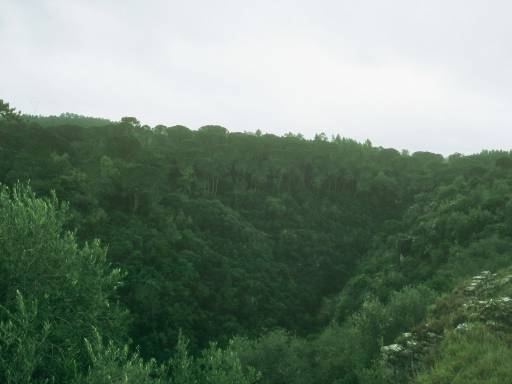 Image0103.web.jpg