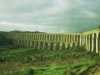 [thumbnail of Picture 33]
