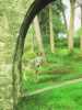 [thumbnail of Picture 34]