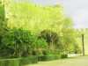 [thumbnail of Picture 36]
