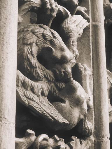 Image0115.web.jpg