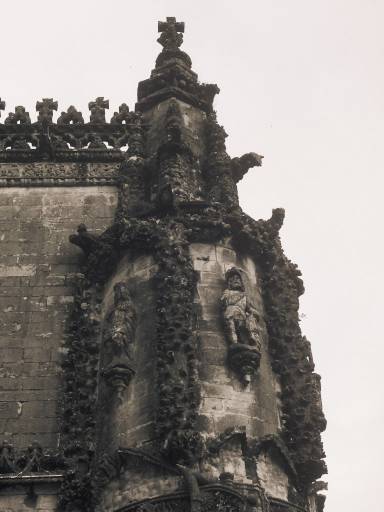 Image0122.web.jpg