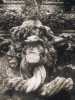 [thumbnail of Picture 19]