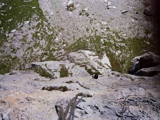 [thumbnail of Picture 6]