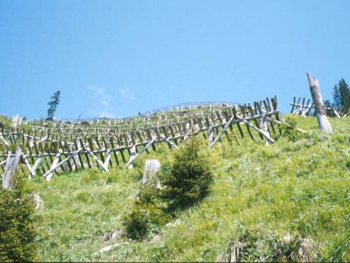 Image15.web.jpg