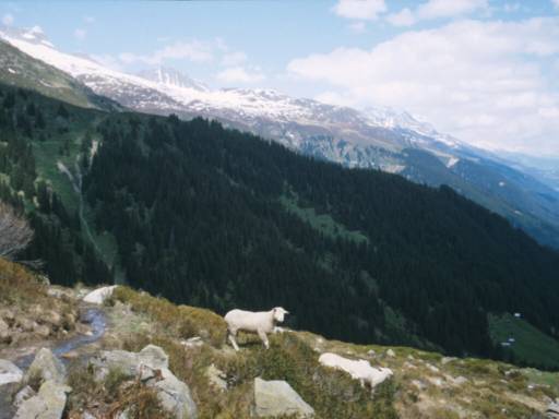 Image21.web.jpg