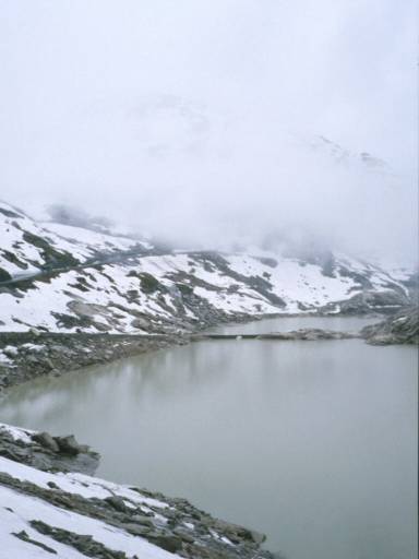 Image37.web.jpg