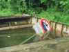 [thumbnail of Picture 1]