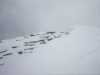 [thumbnail of Picture 1]