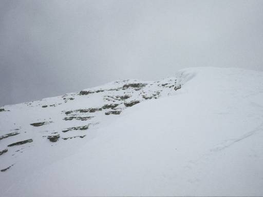 Image0005.web.jpg