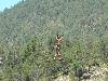 [thumbnail of Picture 51]