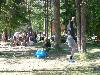 [thumbnail of Picture 63]
