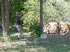 [thumbnail of Picture 64]