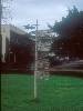 [thumbnail of Picture 10]
