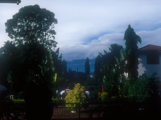 Image1466.web.jpg
