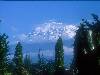 [thumbnail of Picture 17]