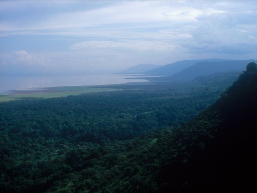 Image1473.web.jpg