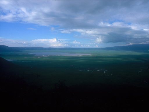 Image1479.web.jpg