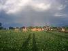 [thumbnail of Picture 6]