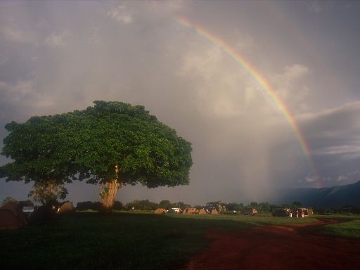 Image1490.web.jpg