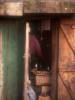 [thumbnail of Picture 11]