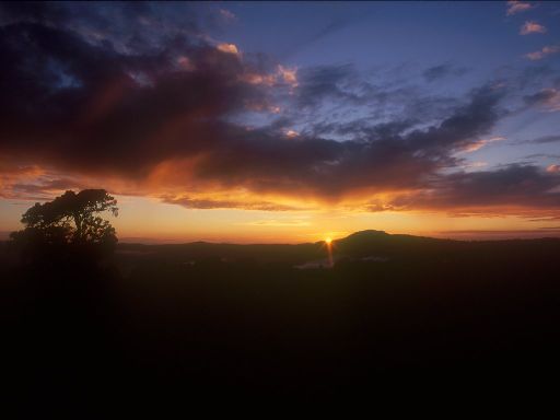 Image1498.web.jpg