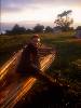 [thumbnail of Picture 17]