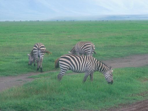 Image1508.web.jpg