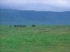 [thumbnail of Picture 25]
