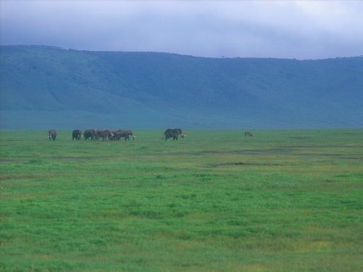 Image1510.web.jpg