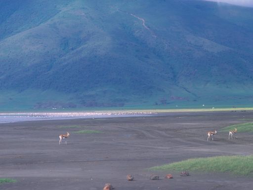 Image1511.web.jpg