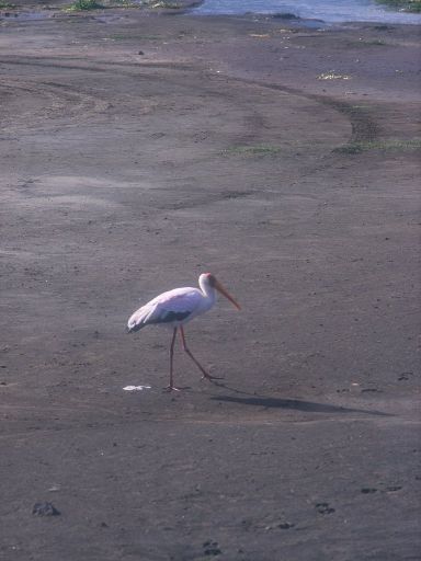 Image1512.web.jpg