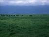 [thumbnail of Picture 30]