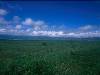 [thumbnail of Picture 33]