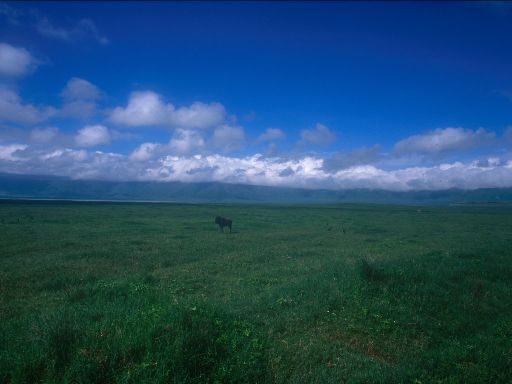 Image1518.web.jpg