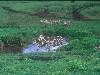 [thumbnail of Picture 2]