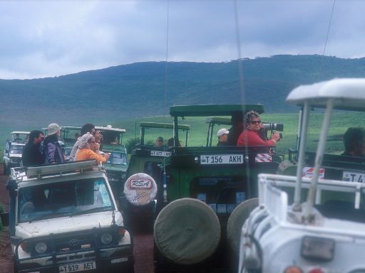 Image1526.web.jpg
